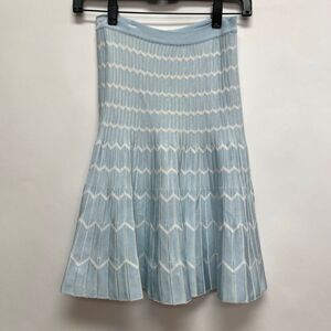 Egrey Women's A-Line Skirt Petite Blue White